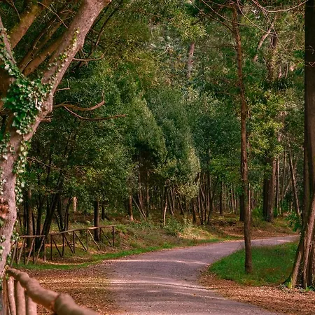 Casino Figueira Prime Apartamento *