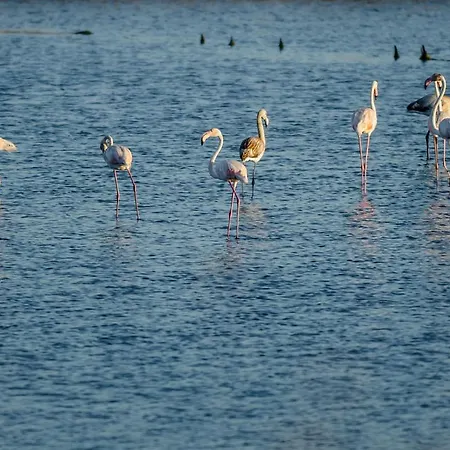 Apartamento Casino Figueira Prime Figueira da Foz