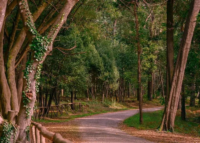 Casino Figueira Prime Daire *